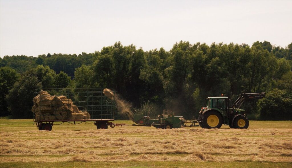 Traktor na polu zbiera kostki siana